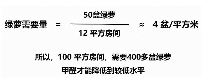 公司用綠蘿除甲醛，到底靠不靠譜？